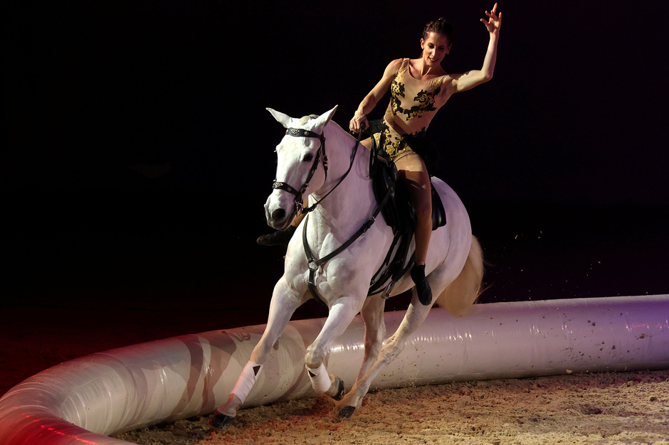 Une femme sur un cheval - Agrandir l'image (fenêtre modale)