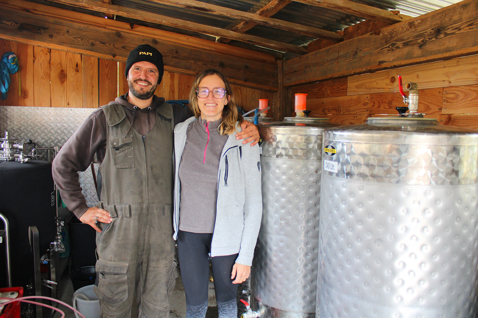 À Lagnes, Alexandre Bonias et sa compagne Charlotte utilisent le houblon pour fabriquer leur bière. - Agrandir l'image (fenêtre modale)