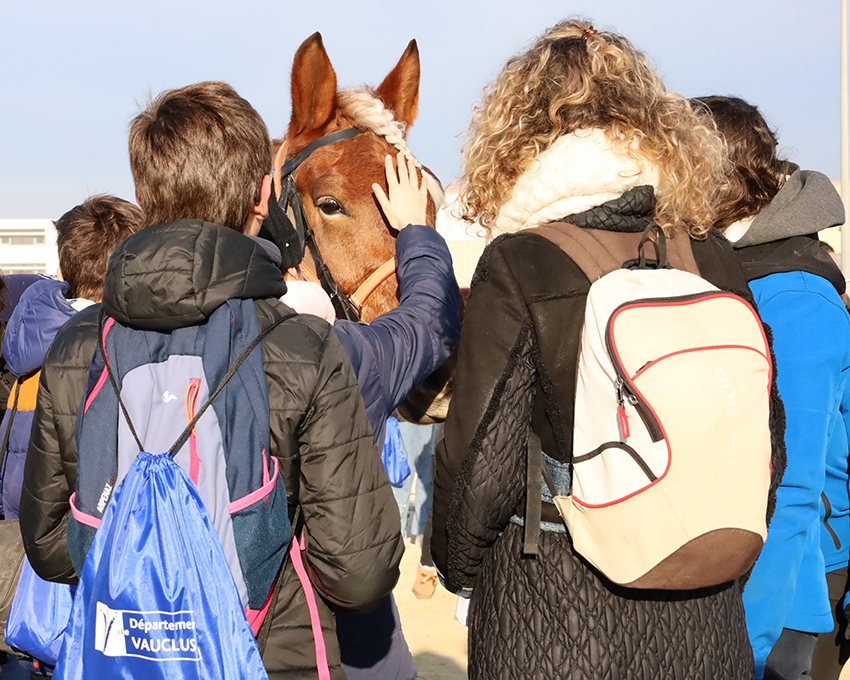 Des collégiens et des chevaux - Agrandir l'image (fenêtre modale)