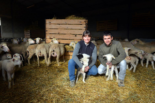 Un couple de jeunes agriculteurs et leurs moutons - Agrandir l'image (fenêtre modale)